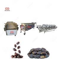 Gelgoog Dadels Deglet Wassorteerdroger Vulmachine Kettingdata Wassen En Drogen Productielijn