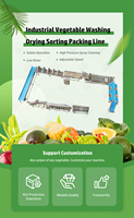 Borstelroller Perzik Pompoen Verwerking Fruit Schoonmaken Waxen En Grade Machine Voor Fruit