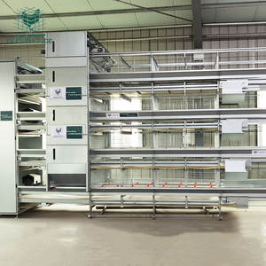 Gabbia per Allevamento Pulcini Tipo H Durevole a Basso Prezzo dalla Cina Nuova Condizione Automatica - Product Image 5