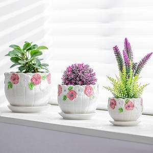 Maceta <span class=keywords><strong>de</strong></span> cerámica sencilla para jardín, maceta creativa para decoración, balcón, cola <span class=keywords><strong>de</strong></span> <span class=keywords><strong>Tigre</strong></span>, maceta para orquídeas, maceta grande para flores - Product Image 2