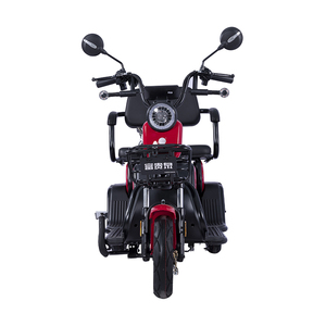Tricycle électrique pour adultes FGQ à carrosserie ouverte avec moteur 60V certifié EEC, capacité <span class=keywords><strong>de</strong></span> charge <span class=keywords><strong>de</strong></span> 200-300 kg - Product Image 5