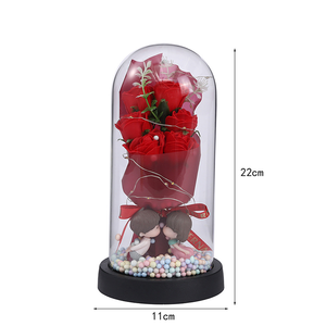 Rosa Preservada al por Mayor en Cúpula de Cristal con Luces LED, Figuras de Pareja Adorables, Caja de Regalo para San Valentín, Aniversario, Regalo de Cita - Product Image 5