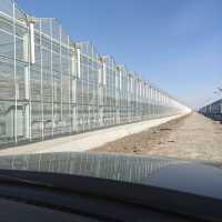 Venlo type polycarbonaat plaat voor kassen