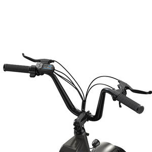 <span class=keywords><strong>Vélo</strong></span> <span class=keywords><strong>Cargo</strong></span> Électrique 20 Pouces avec Pneus Larges, E-Bike Haute Puissance, <span class=keywords><strong>Vélo</strong></span> <span class=keywords><strong>Cargo</strong></span> Électrique, <span class=keywords><strong>Vélo</strong></span> à Pizza en Promotion - Product Image 6