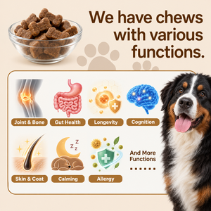 OEM ODM Complément alimentaire pour animaux de compagnie contre les allergies et les démangeaisons cutanées chez les chiens et les chats, sous forme de bouchées molles, enrichi en colostrum, quercétine, <span class=keywords><strong>propolis</strong></span> et oméga 3, marque privée - Product Image 6