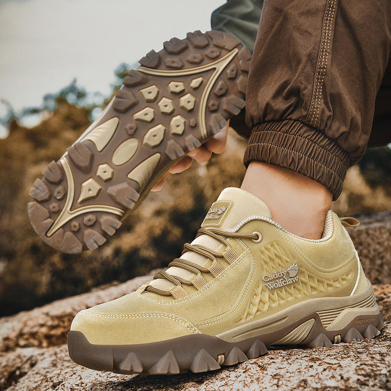 สีน้ำตาล