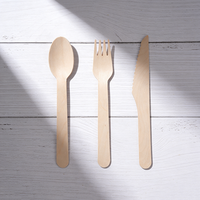 Ensemble de couverts en bois biodégradable jetables, cuillères, fourchettes, couteaux, fourchette, couteau et cuillère en bois