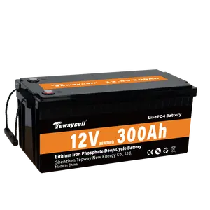 4000 Cycle Life High Power Capacity Lifepo4 Packs 12V 24V 200Ah 300Ah Lithium Ion Batteries Pack for RV Marine Solar System