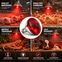 Ampoule chauffante infrarouge E27 étanche IP65 en verre de quartz anti-explosion pour porcelets, poussins et volailles 100W-275W