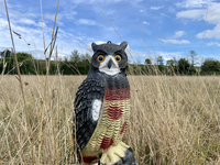 Xilei vente en gros répulsif pour oiseaux extérieur en plastique hibou faux hibou leurres pour effrayer les oiseaux