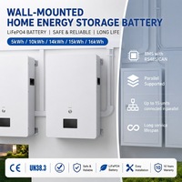 Batterie LiFePO4 murale haute performance 51,2V 200Ah 300Ah 15kWh 16kWh pour stockage d'énergie solaire résidentiel