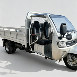 <span class=keywords><strong>Triciclo</strong></span> de Carga Runhorse T1000 con Caja de Carga, Motor de Gasolina de 1000 CC, <span class=keywords><strong>Triciclo</strong></span> Agrícola, Triciclos de Gasolina Usados en Buen Estado - Product Image 2