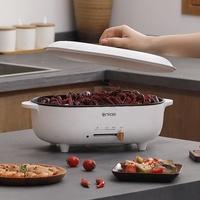 Design tendance contrôle facile marmite à usage domestique marmite électrique 3L