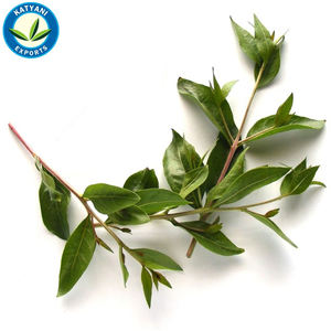 Wholesale Indian Attar <b>Perfume</b> <b>Oil</b> Henna Attar <b>Perfume</b> <b>Oil</b> - Product Image 1