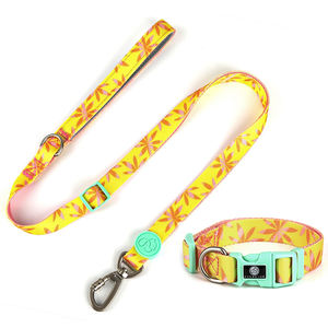 2024 Bestseller Hond Boos Oranje Pet Kraag China Huisdier Leverancier Custom Logo Hondenhalsband - Product Image 5