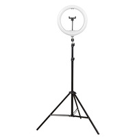 Populaire Transfrontalier Anneau Lumineux LED de 10 Pouces avec Support pour l'Éclairage et la Photographie d'Hôtes de Diffusion en Direct