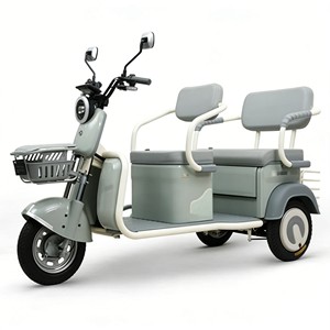 Triciclo con Suspensión Mejorada y Batería de Alta Potencia para un Transporte Eficiente - Product Image 4