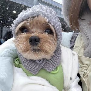 Gorro de punto estilo coreano para perros y gatos, bufanda con capucha para mascotas de otoño e invierno, gorro tipo pasamontañas, para Teddy y Bichon Frise - Product Image 3