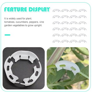 Clips <span class=keywords><strong>de</strong></span> support pour plantes <span class=keywords><strong>de</strong></span> tomates, pinces <span class=keywords><strong>de</strong></span> renforcement anti-pliage pour branches, supports robustes pour la fixation des tiges <span class=keywords><strong>de</strong></span> fruits et légumes - Product Image 5