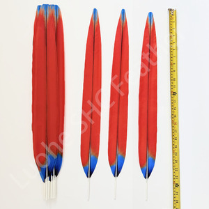 Plumas Artificiales Teñidas de Faisán y Guacamayo de 30cm-150cm para Decoración de Tocados de Carnaval, Samba, Burlesque y Azteca - Product Image 2