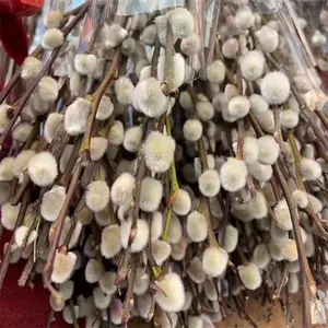 K-0484 Decoración para el Hogar para el Festival de Año Nuevo, <span class=keywords><strong>Salix</strong></span> <span class=keywords><strong>Gracilistyla</strong></span> Individual, Flor Seca Natural Preservada, Sauce Plateado Blanco - Product Image 2