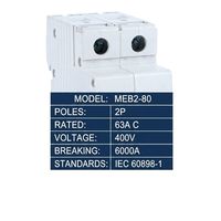 Disjoncteur miniature Wanbo-241 MEB2-80 2P C63 6kA 63A 400V IEC 60898-1 – Prix usine – Vente chaude