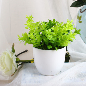 Di alta qualità artificiale arte topiaria bonsai bosso plastica <span class=keywords><strong>cipresso</strong></span> in vaso bonsai pianta con il <span class=keywords><strong>prezzo</strong></span> poco costoso - Product Image 3