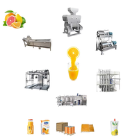 CE-gecertificeerde multifunctionele industriële volautomatische kleine productielijn voor sinaasappelsap