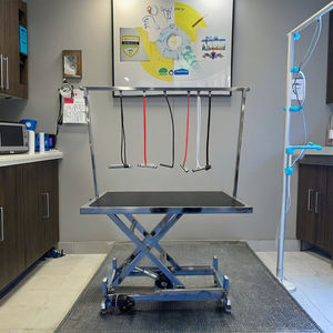 Mesa de Tosa Elétrica Dobrável de Fábrica Mesa Simples para Tosa de Animais Mesa para Cuidados com Cães - Product Image 6