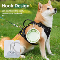 Bol pliable pour animaux de compagnie en TPE, bol à nourriture et à eau pour chien et chat, plat d'alimentation pliable pour les voyages et les sorties