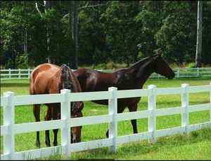 <span class=keywords><strong>Precio</strong></span> barato Uv Resistente Vinilo Caballo 3 Riel Durable Pvc Valla PVC <span class=keywords><strong>animal</strong></span> valla blanca PVC valla moderna - Product Image 4