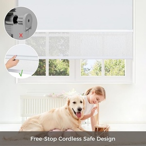 Tende a Rullo a Doppio Strato di Alta Qualità, Manuali e Senza Fili, con Modalità Filtrante e Oscurante, Prezzo Conveniente per Finestre - Product Image 6