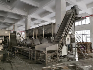 Dây chuyền sản xuất tự động phân loại, làm sạch, sấy khô, bóc vỏ, tách vỏ và nhân các loại hạt hồ đào - Product Image 2