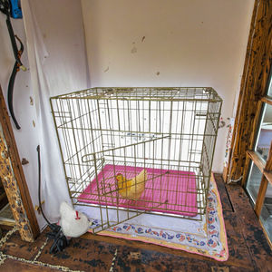 Vente en gros de cage pliable en fer galvanisé blanc caisse métallique stable et durable avec plateau en plastique amovible - Product Image 6