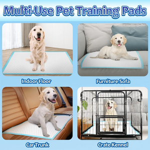 Oem <b>Waterproof</b> Wholesale Puppy Diaper Training Disposable Pet Urine Pee Absorption and Potty Wee <b>Pads</b> for Dog Padding - Product Image 6