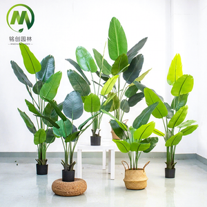 Arbres et bananier artificiels de bonsaï de PE vert simulé élevé pour la décoration d'intérieur en vente - Product Image 1