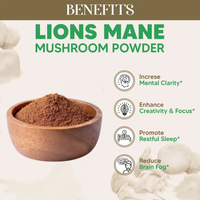 Extrait naturel d'Hericium Erinaceus, poudre de champignon crinière de lion biologique de qualité alimentaire, 10%-50% de polysaccharides, emballage en fût