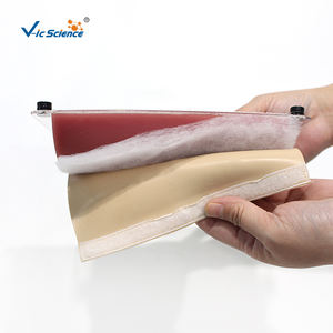 محاكاة طبية نموذج جلد الإنسان محاكاة طبية لخياطة الجلد البشري نموذج التدريب على شق جراحي مهارات خياطة التمرين - Product Image 3