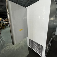 Congélateur-chiller rapide 15 plateaux 60*40*2cm pour boulangerie, crème glacée et produits alimentaires