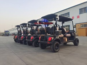 Fabricant professionnel de voitures de golf électriques tout-terrain pour clubs de chasse, scooter de golf électrique avec éclairage LED - Product Image 1