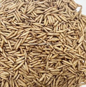 Venta al por mayor 100% Natural sin aditivos BSF larvas microondas seco Calci gusano <span class=keywords><strong>comida</strong></span> para mascotas - Product Image 1