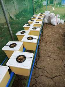 荷兰水桶水培系统 - Product Image 2