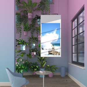 Shop Retail 43 55 Inch Indoor High Brightness Ceiling Hanging Advertising Double Side <strong>Digital</strong> Signage Window <strong>Lcd</strong> Screen <strong>Display</strong> - Product Image 4
