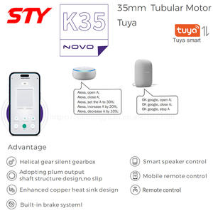NOVO-Persianas enrollables motorizadas Tuya Wifi, persianas enrollables inteligentes para <span class=keywords><strong>el</strong></span> hogar, motor tubular de 34mm - Product Image 6