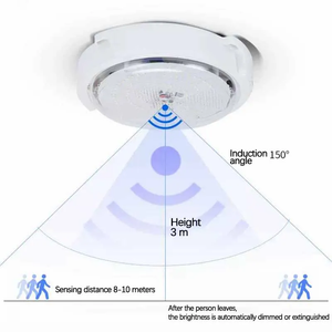 โคมไฟเพดาน<span class=keywords><strong>โซ</strong></span>ลาร์<span class=keywords><strong>เซลล์</strong></span>ในอาคาร ไฟ LED อัจฉริยะ 60W 80W 500W 1000W 1500W พร้อมรีโมทคอนโทรล สำหรับโรงเก็บของ ระเบียง - Product Image 3
