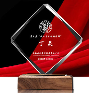 Trofeo de Cristal K9 en Blanco al por Mayor de Fábrica en Pujiang, Trofeo de Cristal con Logotipo Personalizado y Base de Madera - Product Image 5