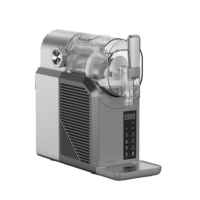 Machine à Slushie 2L en Promotion avec Mixeur, Congélation Rapide pour Margaritas, Smoothies et Crèmes Glacées, Économe en Énergie