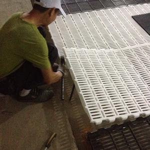 Paridera para Cerdas de Granja, Galvanizada, con Suelo de Hierro Fundido - Product Image 6