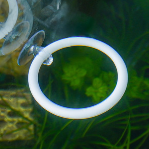 Anillo de entrenamiento <span class=keywords><strong>para</strong></span> <span class=keywords><strong>peces</strong></span> de combate, anillo de ejercicio, juguete interactivo <span class=keywords><strong>para</strong></span> <span class=keywords><strong>peces</strong></span> de combate con movimiento de cola y inflado facial - Product Image 3