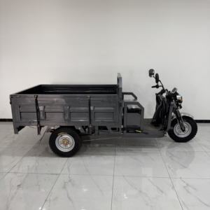Tricycle électrique express à conteneur ouvert LEON, autres tricycles, vélo <span class=keywords><strong>cargo</strong></span> à vendre - Product Image 5